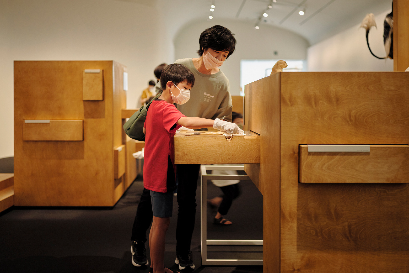 Title: WHO ARE WE　And What Can We Learn From Observation?Collection of the National Museum of Nature and Science, Tokyo | Vol. 01 Mammals<br>Photo by Rico Okaniwa