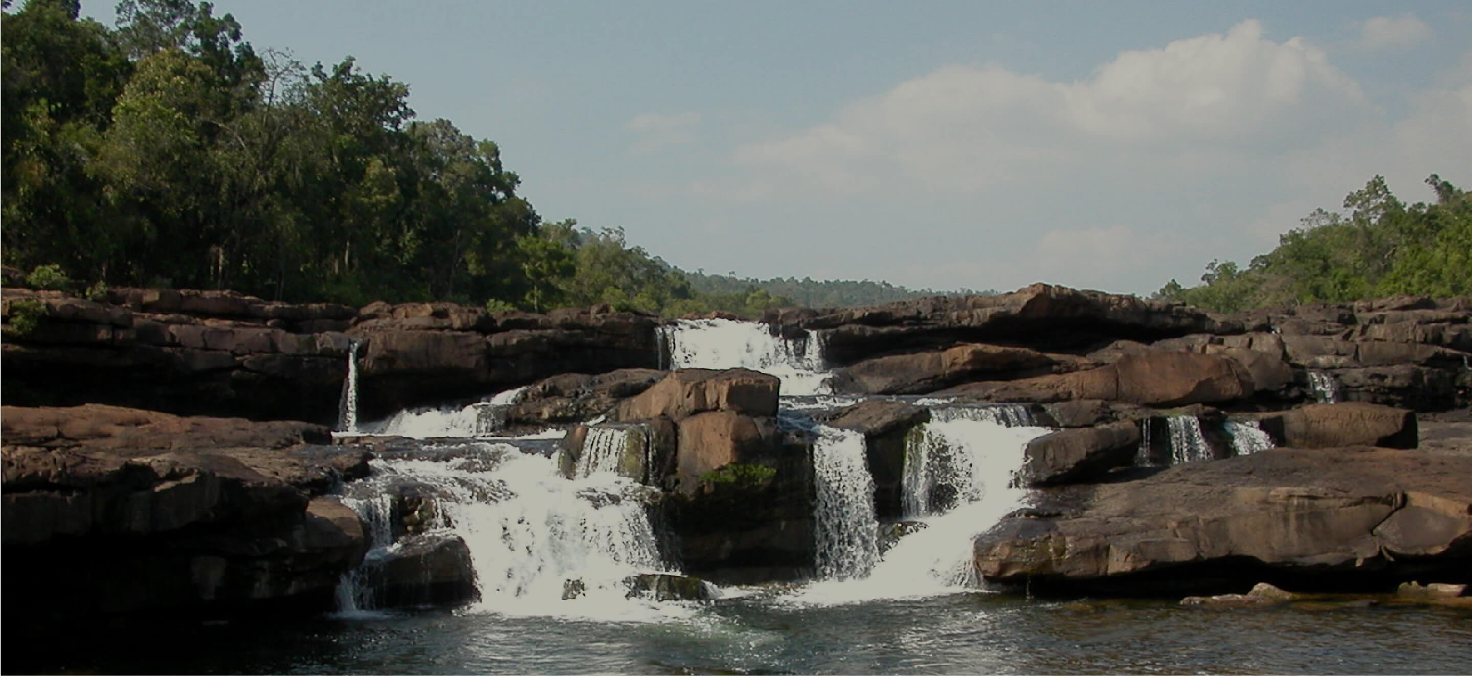 Cambodia / Central Cardamom Protected Forest