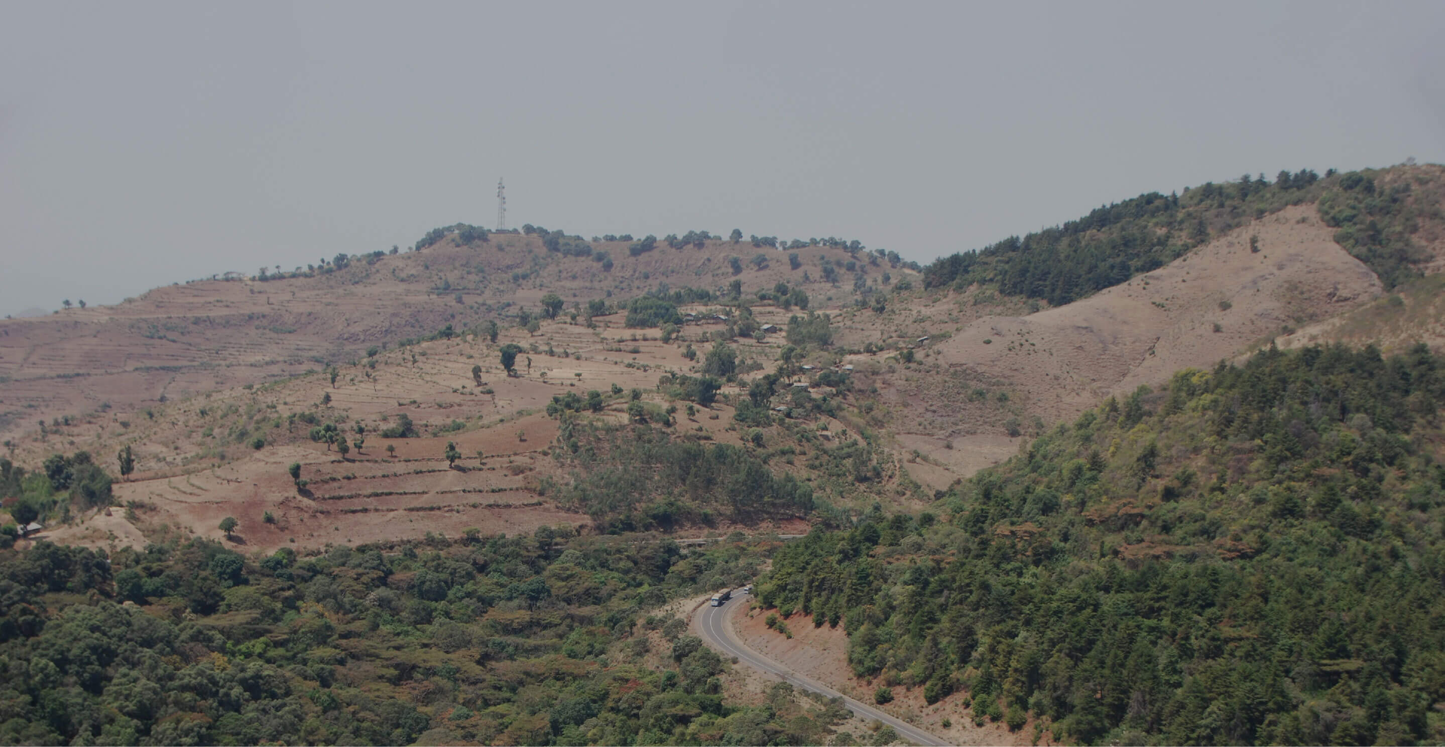 Ethiopia / Northwest Church Forest