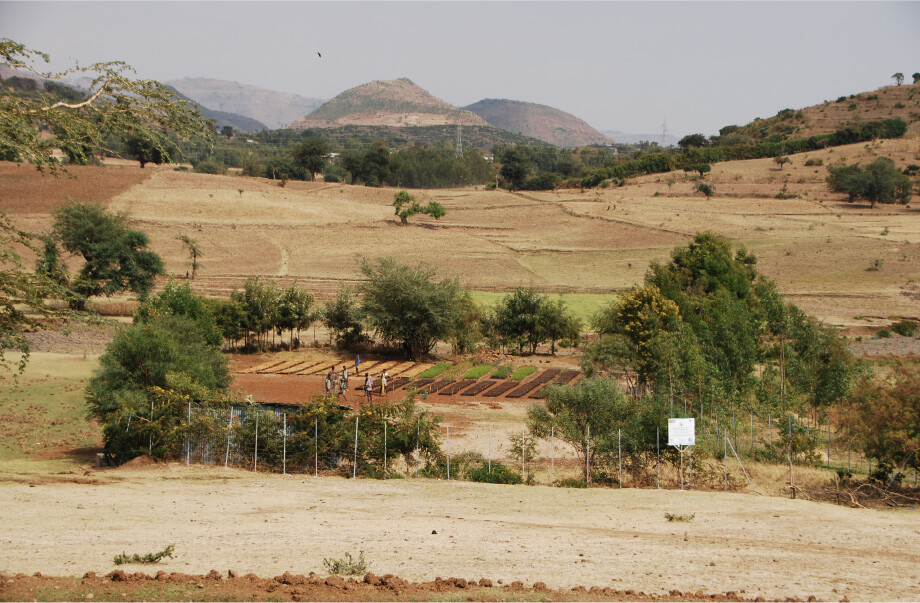 Picture of Deforestation in Ethiopia