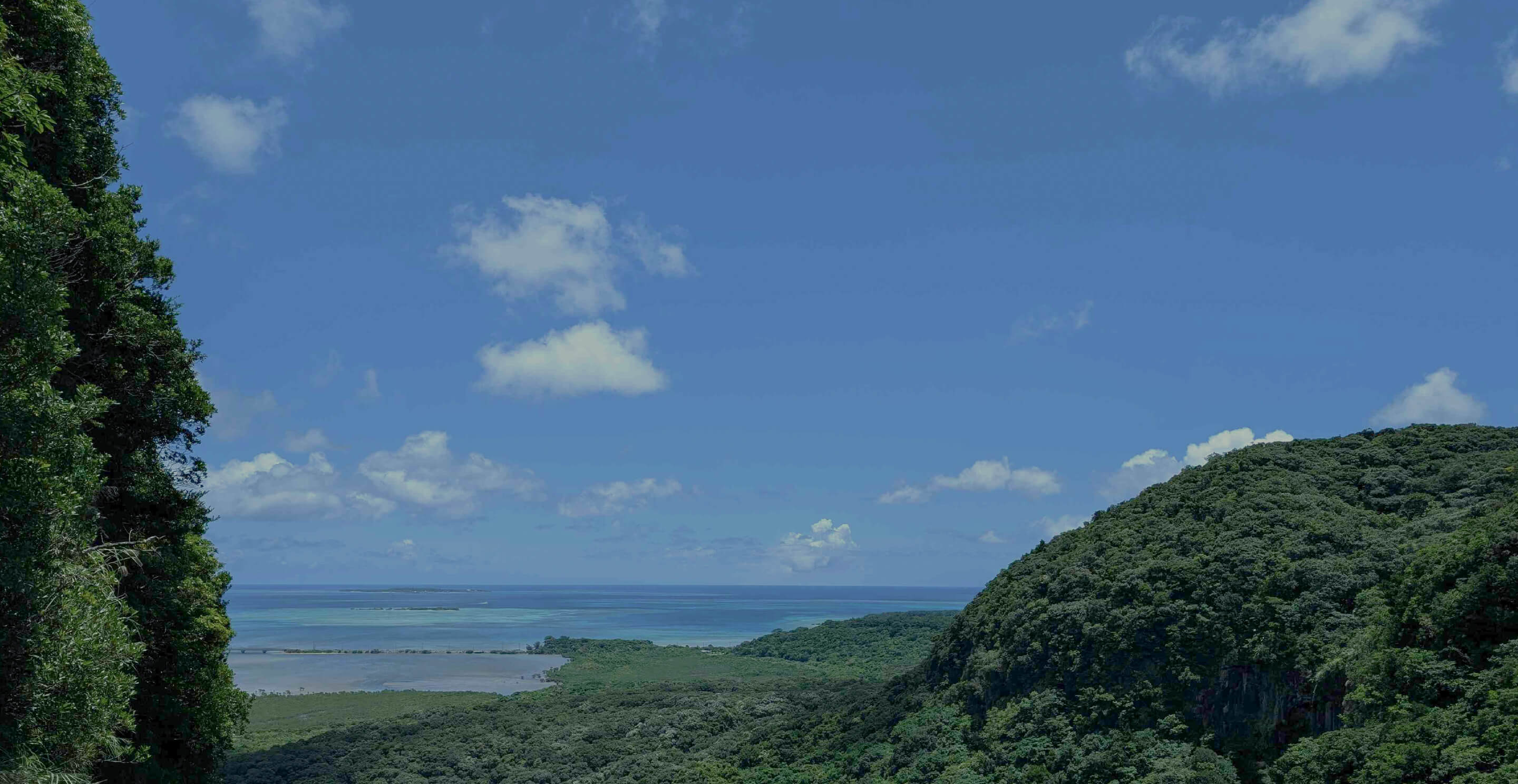 japan / Iriomote Island, Okinawa