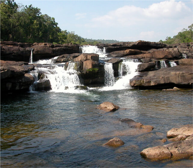 Cambodia Central Cardamom Protected Forest