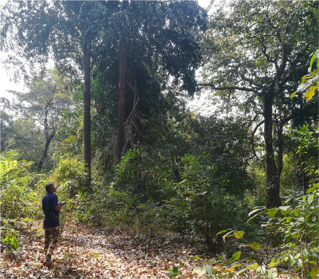 India Northern Western Ghats