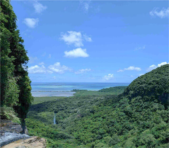 Iriomote Island, Okinawa japan
