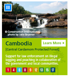 Cambodia [Central Cardamom Protected Forest] Support for law enforcement on illegal logging and poaching in collaboration of the government and local communities.