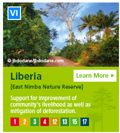 Liberia [East Nimba Nature Reserve] Support for improvement of community's livelihood as well as mitigation of deforestation.