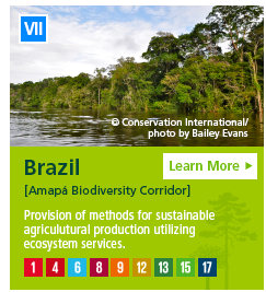 Brazil [Amapa Biodiversity Corridor] Provision of methods for sustainable agricultural production utilizing ecosystem services.