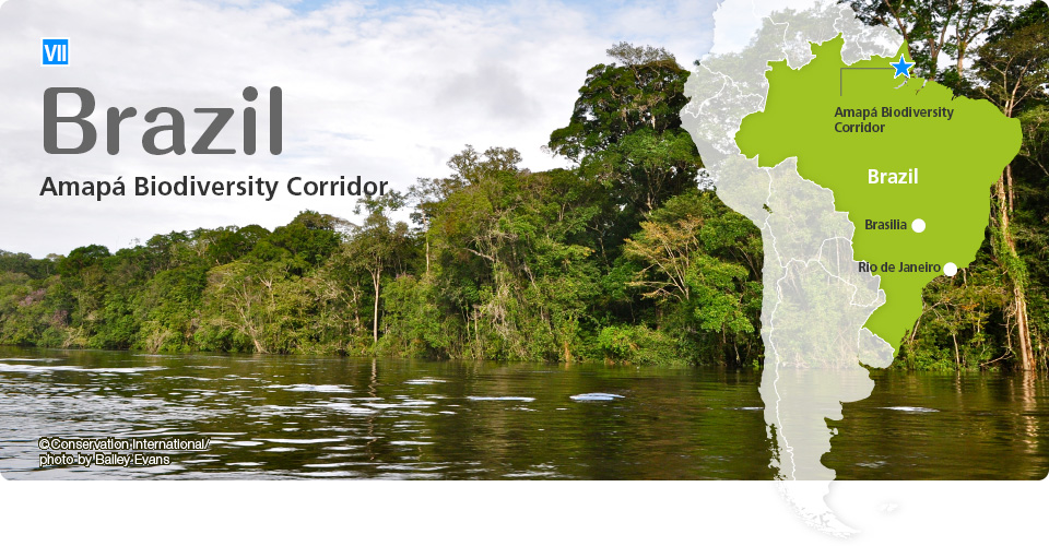 Brazil: Amapá Biodiversity Corridor