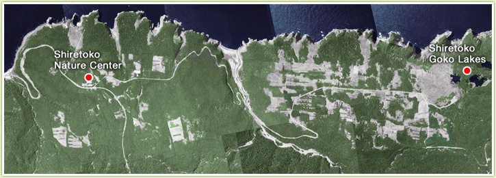 Areas of the Shiretoko 100m2 Movement Forest Trust