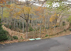 This fence allows seedlings to grow free of Sika deer and other wild animals that may eat them.