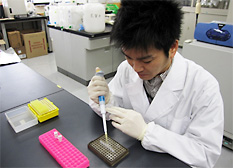 DNA analysis determined the location of the bears' habitat.