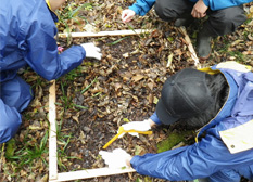 Vegetation was surveyed at 21 locations inside and outside the fence