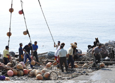 Bears and fishermen coexist: Fishermen and bears have an unspoken agreement to live in harmony