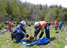 Volunteers helped out in the planting of seedlings