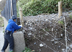 Power lines of the electric fence that were knocked down by mudslides were strung up again 