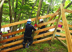 In fiscal 2015, 150 meters of deer fence was completed