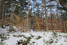 Final section of the deer fence completed