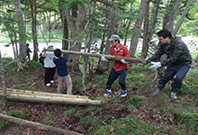 Carrying lumber for the fence
