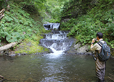Surveying the fishes’ spawning grounds