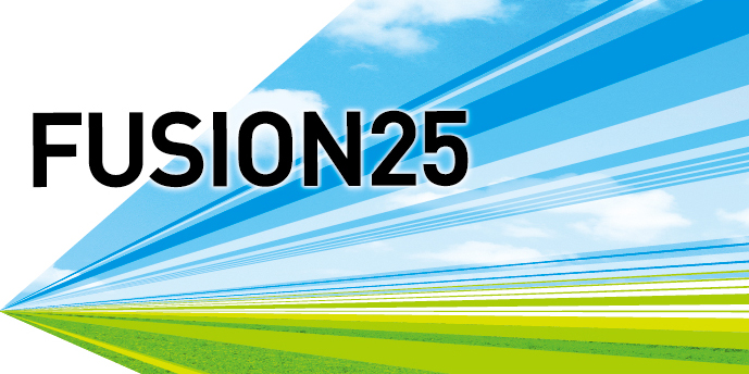 Image:Strategic Management Plan Fusion