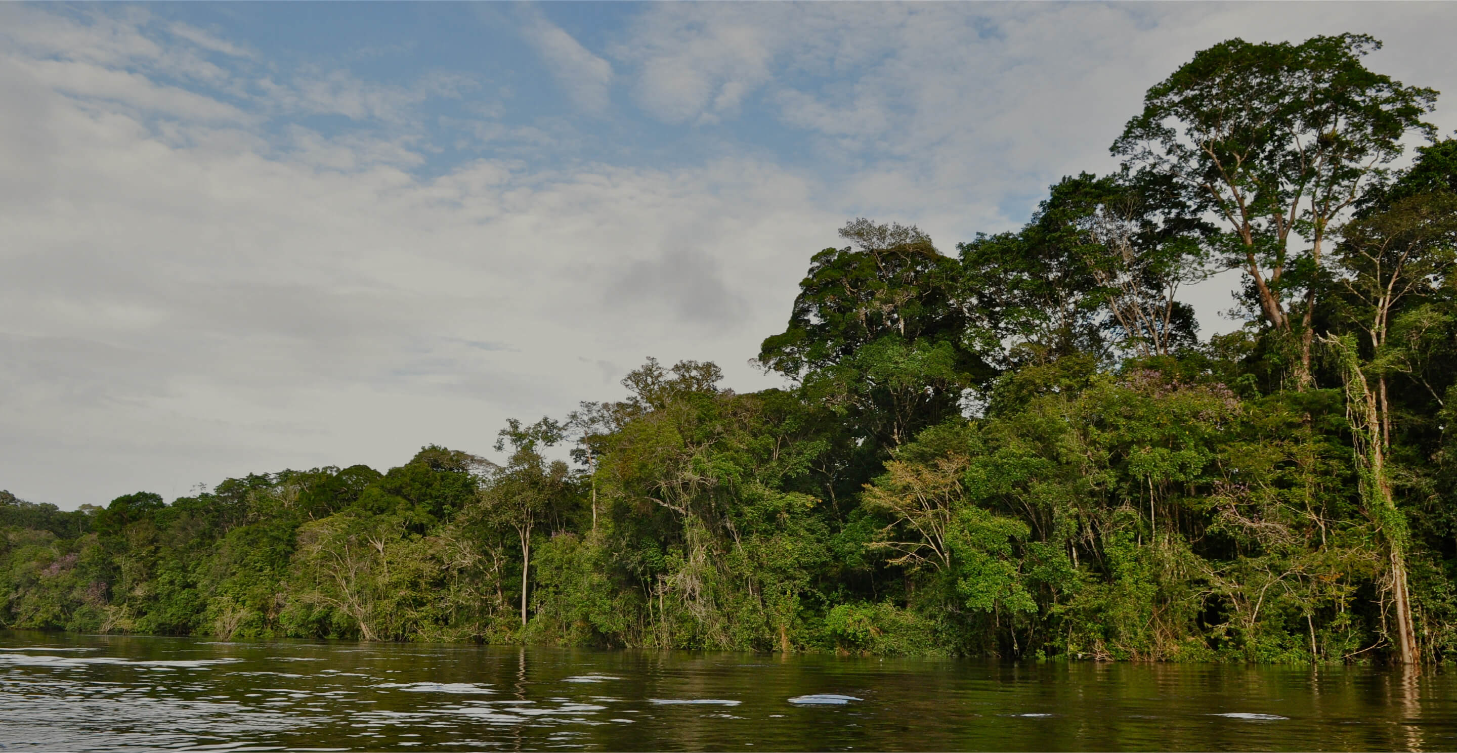 Brazil / Bolivia Amazon Wilderness Area