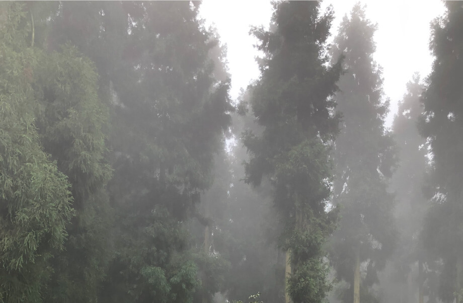 Picture of Hong Ya County