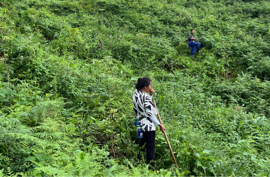 Picture of people in action