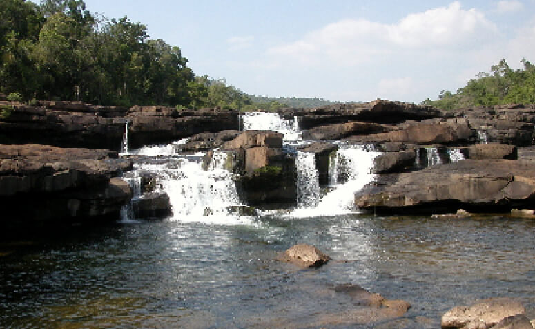 Picture of Cambodia Central Cardamom Protected Forest