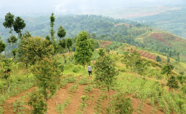 Picture of Indonesia West Java