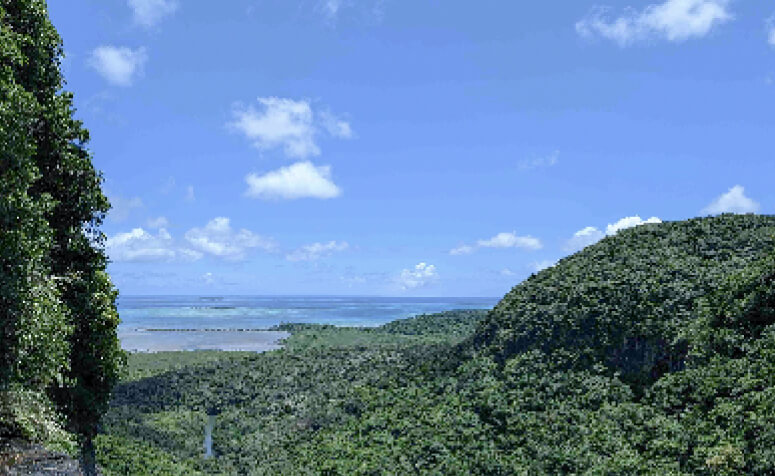 Picture of Japan Iriomote Island,Okinawa