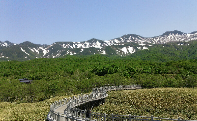 Picture of Japan Shiretoko,Hokkaido