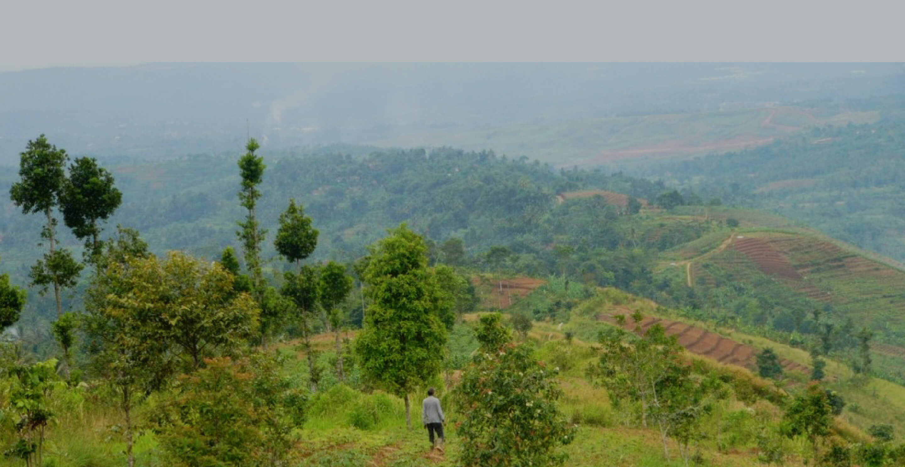Indonesia / West Java