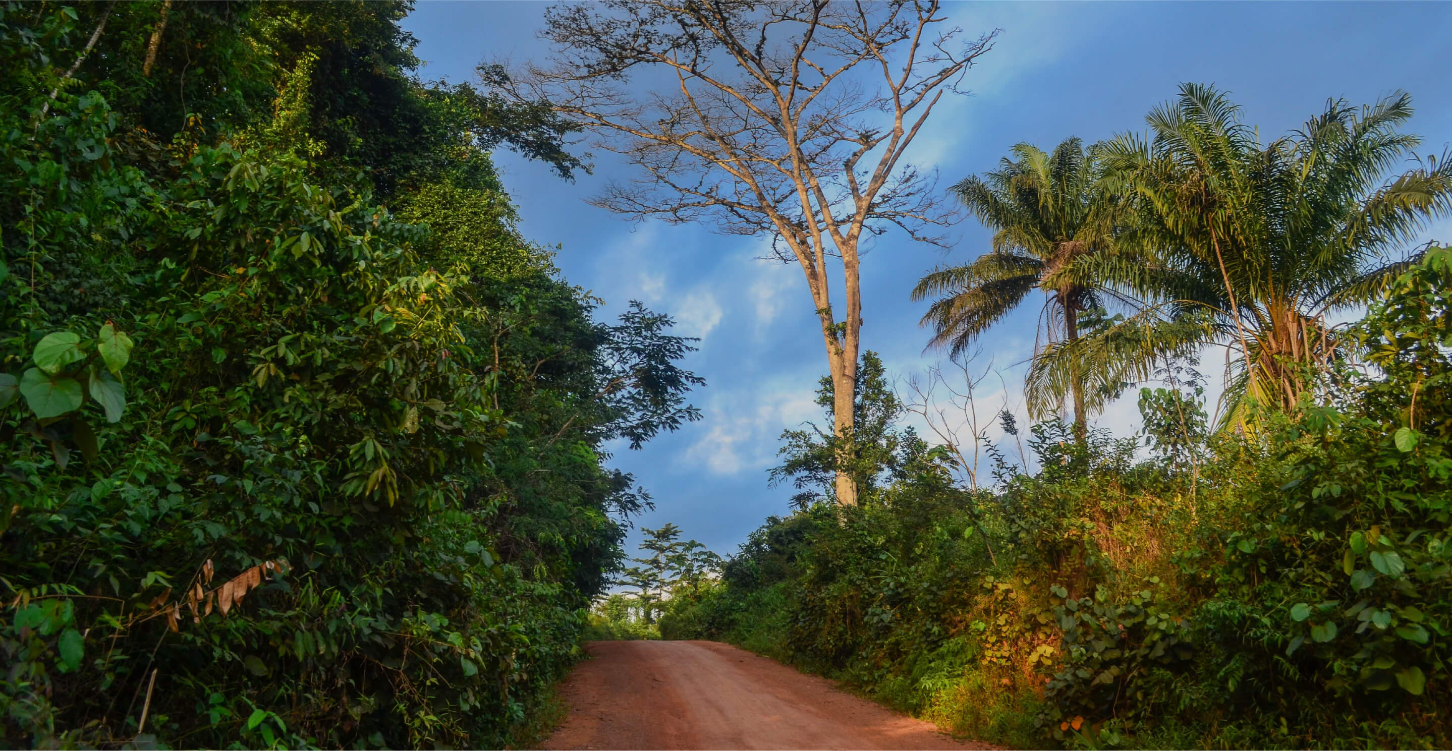 Liberia / East Nimba Nature Reserv