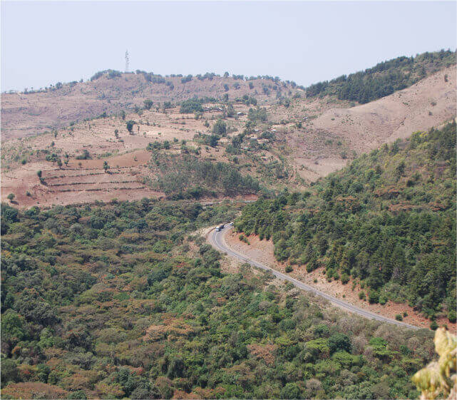 Ethiopia Northwest Church Forest