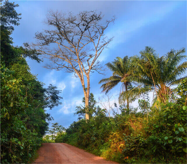 Liberia East Nimba Nature Reserv