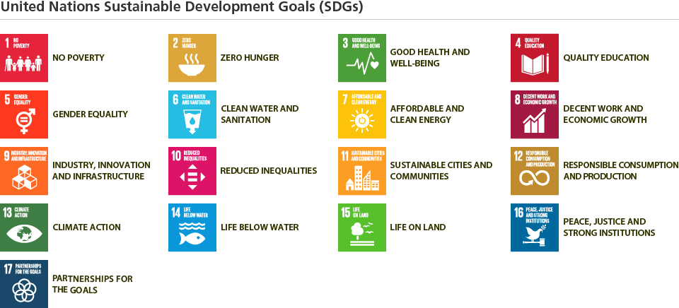 United Nations Sustainable Development Goals (SDGs)