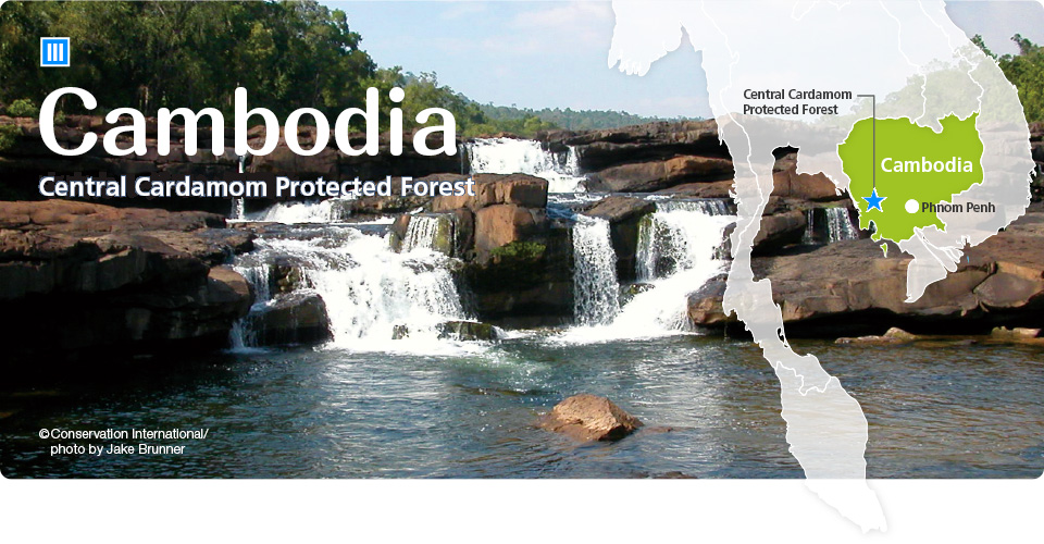 Cambodia: Central Cardamom Protected Forest