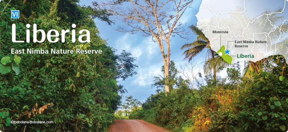 Liberia: East Nimba Nature Reserve