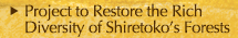 Project to Restore the Rich Diversity of Shiretoko’s Forests