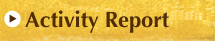 Activity Report
