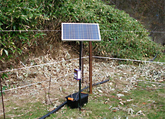 Solar panels were installed to power the electric fence. 