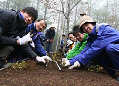 Daikin volunteers replanted Japanese Judas seedlings in a protected section of the forest.