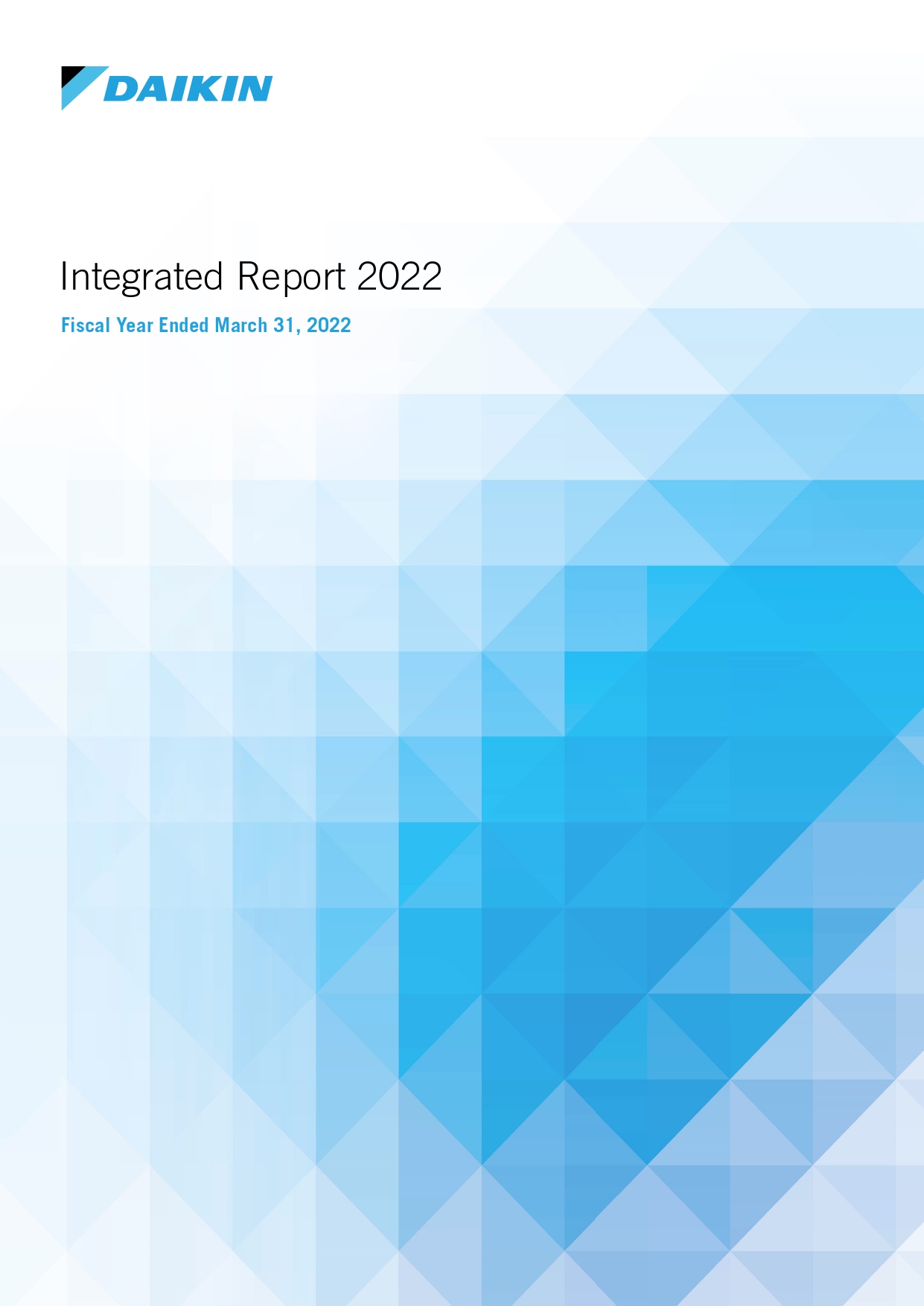 Image:Integrated Report 2022