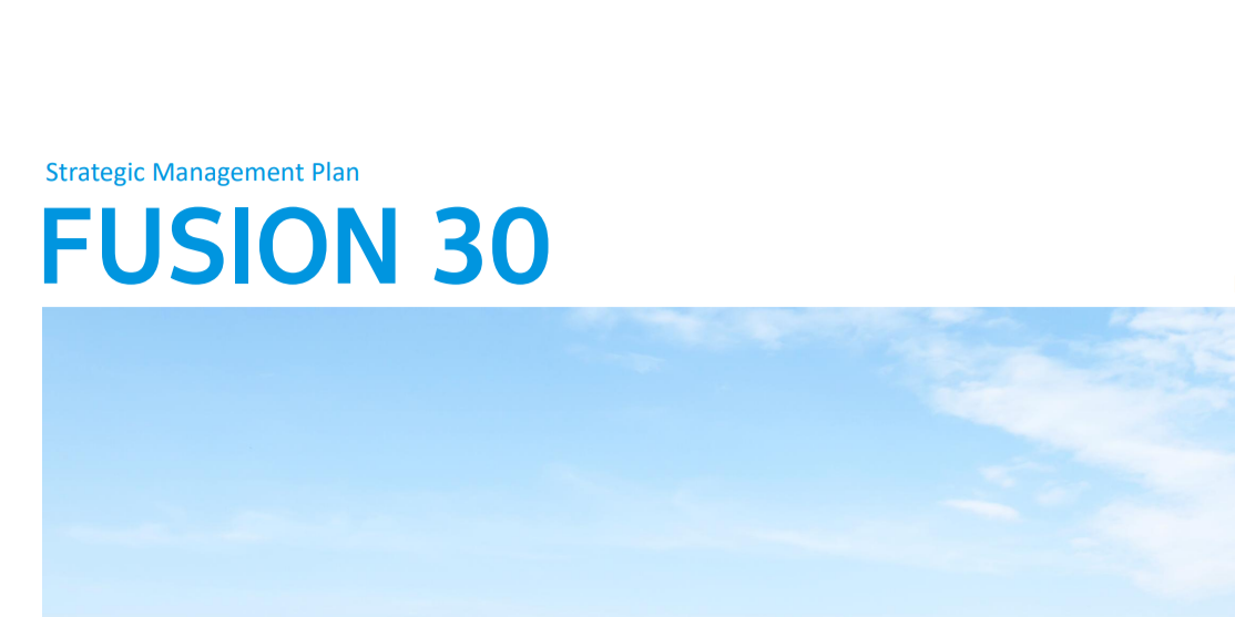 Image:Strategic Management Plan Fusion 30